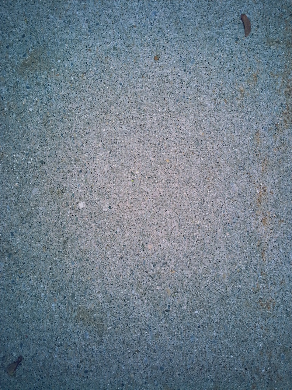 访客